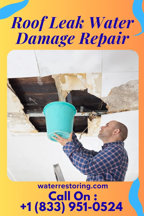 Roof Leak Water Damage Repair in Heflin, LA