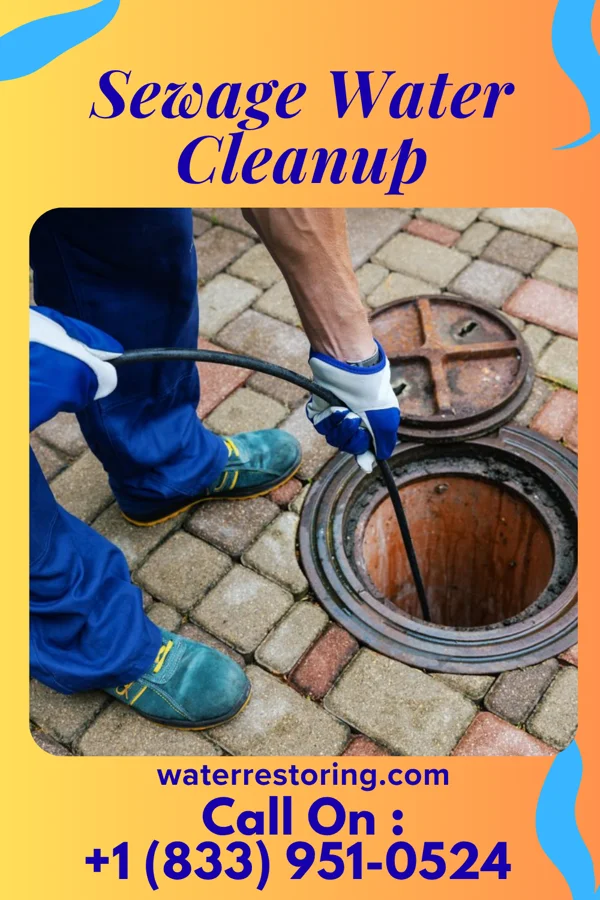 Sewage Water Cleanup in Heflin, LA